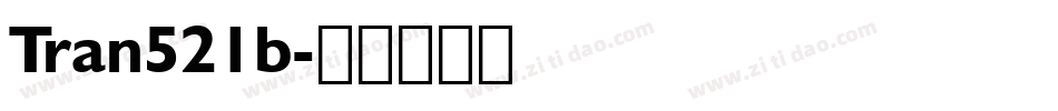 Tran521b字体转换