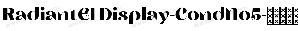 RadiantEFDisplay-CondNo5字体转换