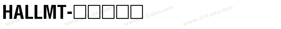 HALLMT字体转换