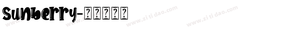 Sunberry字体转换