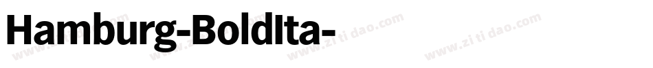 Hamburg-BoldIta字体转换