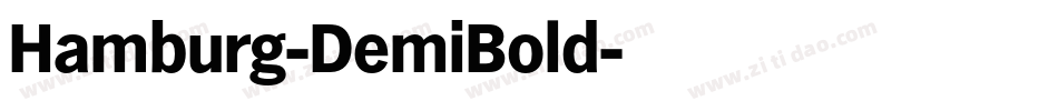 Hamburg-DemiBold字体转换