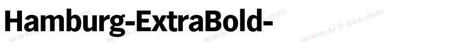 Hamburg-ExtraBold字体转换