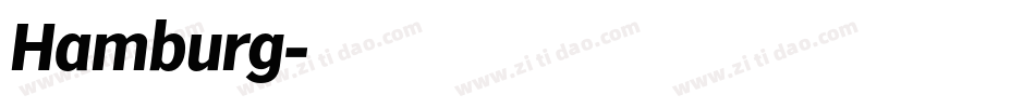 Hamburg字体转换