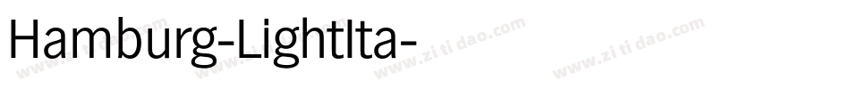Hamburg-LightIta字体转换