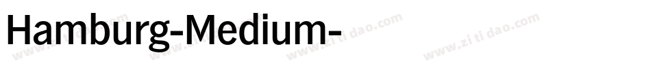 Hamburg-Medium字体转换