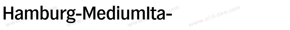 Hamburg-MediumIta字体转换