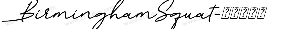 BirminghamSquat字体转换