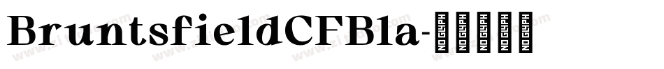 BruntsfieldCFBla字体转换