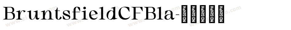 BruntsfieldCFBla字体转换