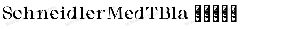 SchneidlerMedTBla字体转换