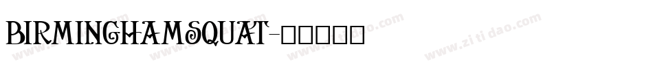 BirminghamSquat字体转换