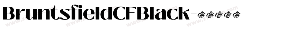 BruntsfieldCFBlack字体转换