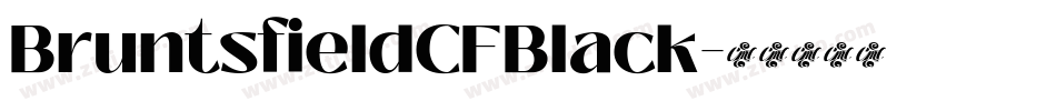 BruntsfieldCFBlack字体转换