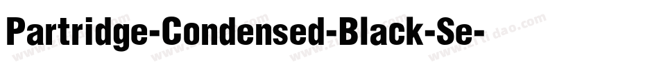 Partridge-Condensed-Black-Se字体转换