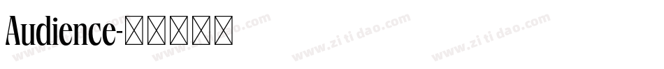 Audience字体转换