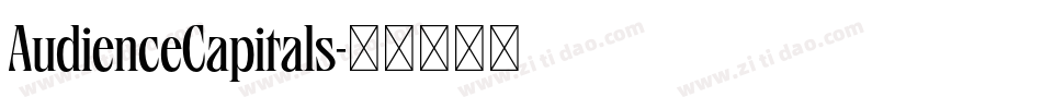 AudienceCapitals字体转换