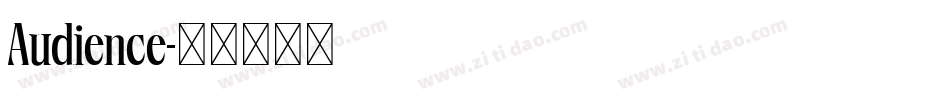 Audience字体转换