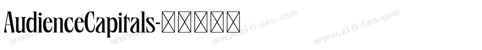 AudienceCapitals字体转换