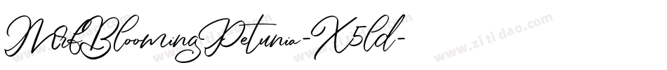 MrfBloomingPetunia-X5ld字体转换