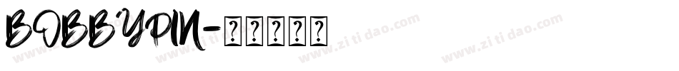 BOBBYPIN字体转换