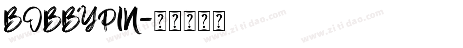 BOBBYPIN字体转换