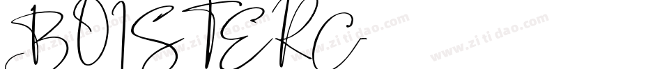 BOISTERC字体转换