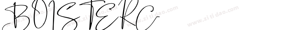 BOISTERC字体转换
