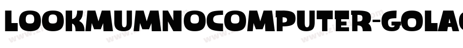 Lookmumnocomputer-GOlaG字体转换