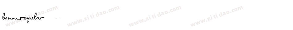 bonn_regular生成器字体转换