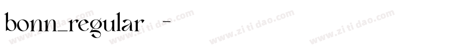 bonn_regular生成器字体转换