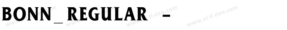 bonn_regular生成器字体转换
