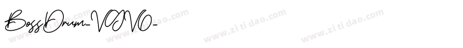 BossDrum-VGV6字体转换