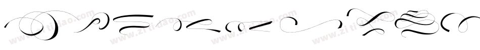 EnjoytheRide-Swashes-Regular字体转换