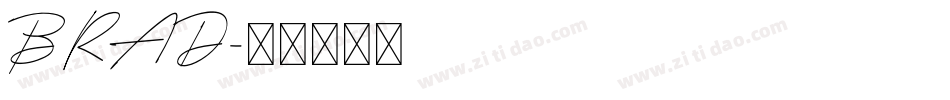 BRAD字体转换
