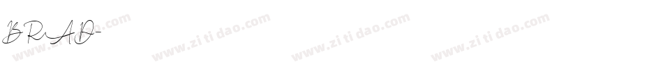 BRAD字体转换