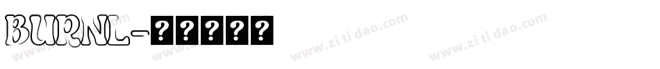 BURNL字体转换