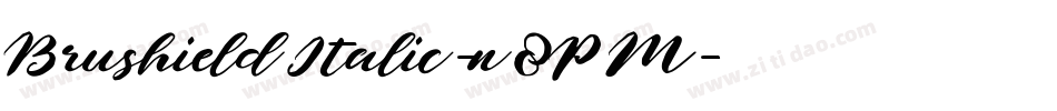 BrushieldItalic-n8PM字体转换