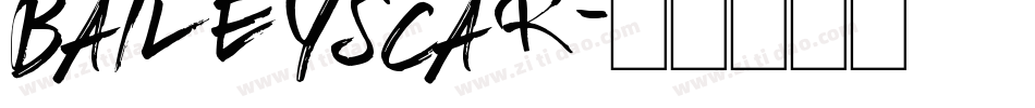 BaileysCar字体转换