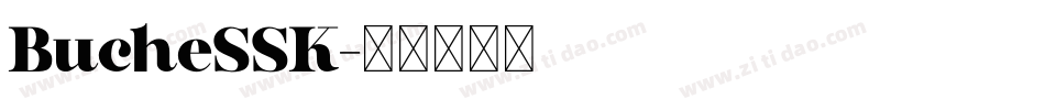 BucheSSK字体转换