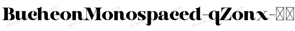 BucheonMonospaced-qZonx字体转换