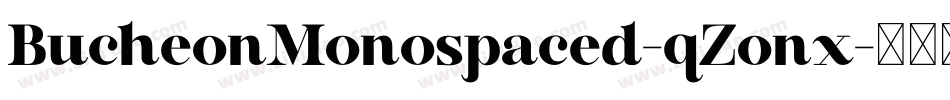 BucheonMonospaced-qZonx字体转换