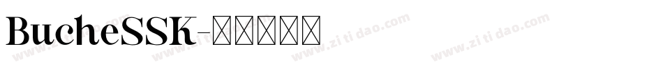BucheSSK字体转换