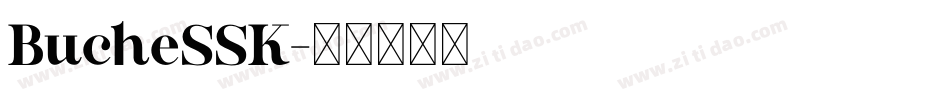BucheSSK字体转换