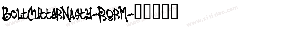 BoltCutterNasty-RqrM字体转换
