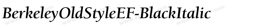 BerkeleyOldStyleEF-BlackItalic字体转换