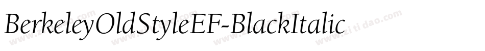 BerkeleyOldStyleEF-BlackItalic字体转换