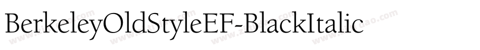 BerkeleyOldStyleEF-BlackItalic字体转换