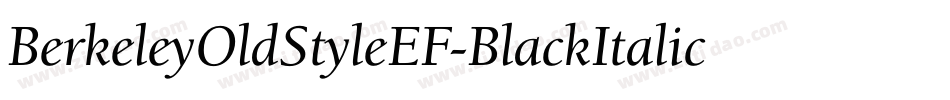 BerkeleyOldStyleEF-BlackItalic字体转换