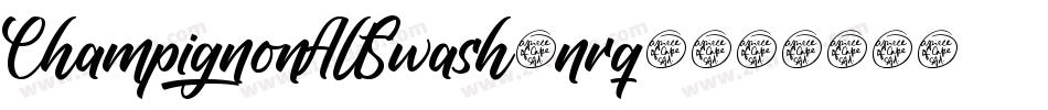 ChampignonAltSwash-nrq1字体转换
